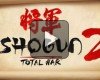 Shogun 2 približuje svoj multiplayer