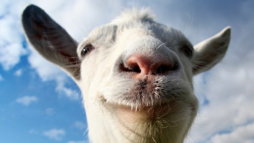 Goat Simulator dostane novú mapu a multiplayer