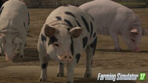 PETA žiada o pridanie reálnych záberov z jatiek do hry Farming Simulator 17