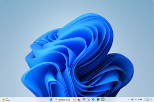 Windows 11