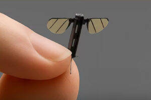 Dron