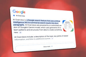 Google AI Overview