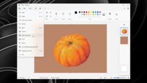 Microsoft Paint