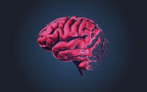 brain rot