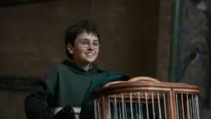 Harry Potter