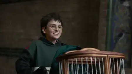 Najočakávanejší seriál roka dostal prvý trailer. Ako vyzerá nový Harry Potter a kedy bude mať premiéru? Harry Potter