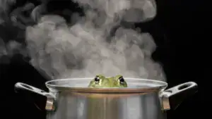 variaca sa žaba