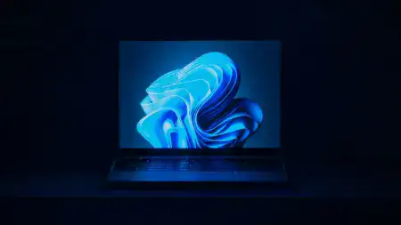 Windows 11