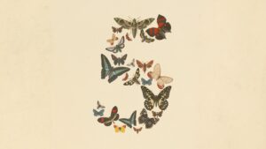 Claude Fable 5