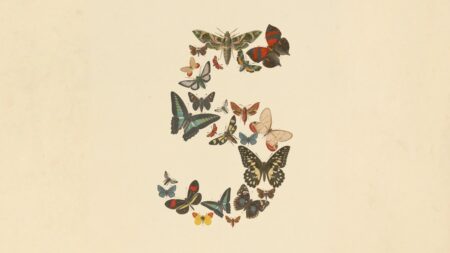 Claude Fable 5 na scéne: Anthropic odpálil novú generáciu AI s nekompromisným vývojárskym výkonom Claude Fable 5