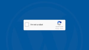 Google Captcha