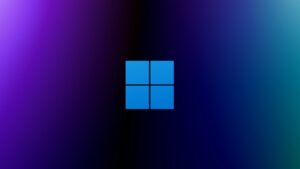Windows 11