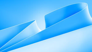 Windows 11